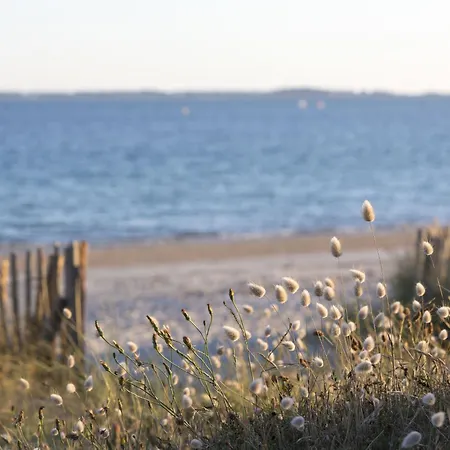 Otello 4 - L'ibis Sacre By Interhome * Carnac